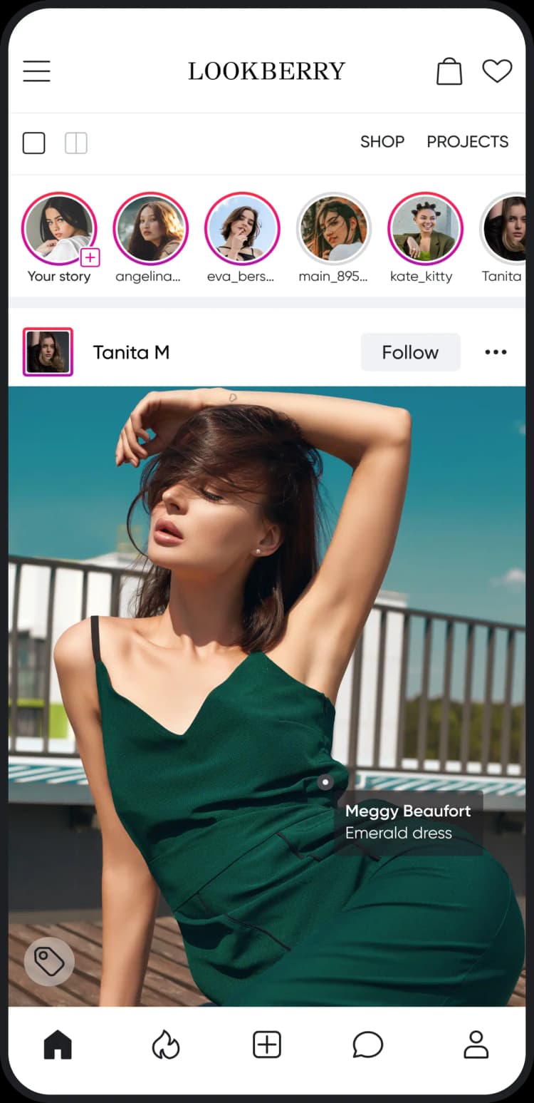 LookBerry app mockups